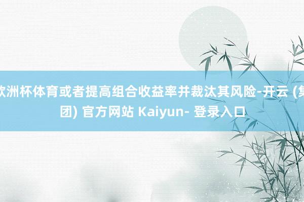 欧洲杯体育或者提高组合收益率并裁汰其风险-开云 (集团) 官方网站 Kaiyun- 登录入口