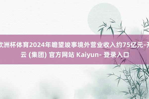 欧洲杯体育2024年瞻望竣事境外营业收入约75亿元-开云 (集团) 官方网站 Kaiyun- 登录入口