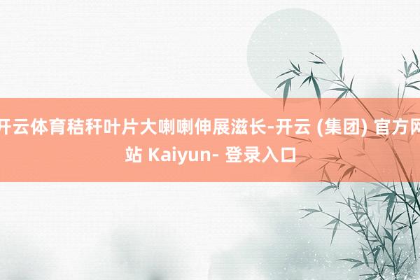开云体育秸秆叶片大喇喇伸展滋长-开云 (集团) 官方网站 Kaiyun- 登录入口