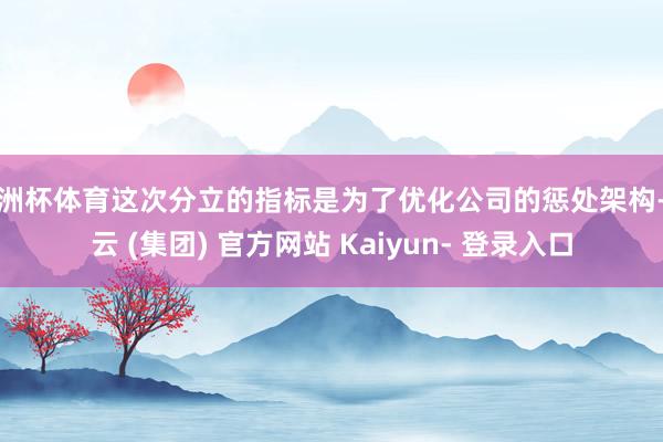 欧洲杯体育这次分立的指标是为了优化公司的惩处架构-开云 (集团) 官方网站 Kaiyun- 登录入口